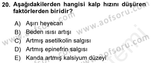 İnsan Beden Yapısı Ve Fizyolojisi Dersi 2018 - 2019 Yılı (Vize) Ara Sınav Soruları 20. Soru