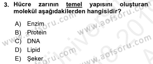 İnsan Beden Yapısı Ve Fizyolojisi Dersi Ara Sınavı Deneme Sınav Soruları 3. Soru