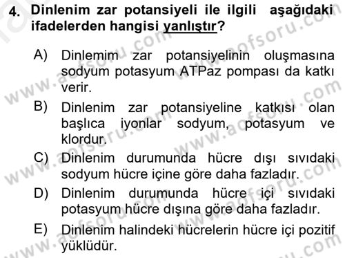 İnsan Beden Yapısı Ve Fizyolojisi Dersi Ara Sınavı Deneme Sınav Soruları 4. Soru