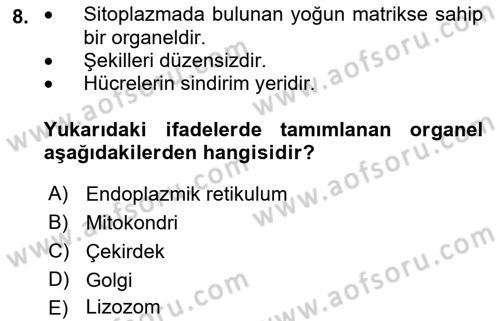 İnsan Beden Yapısı Ve Fizyolojisi Dersi 2018 - 2019 Yılı (Vize) Ara Sınav Soruları 8. Soru