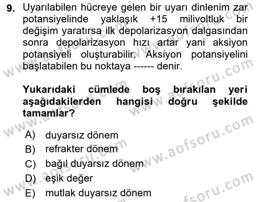 İnsan Beden Yapısı Ve Fizyolojisi Dersi Ara Sınavı Deneme Sınav Soruları 9. Soru