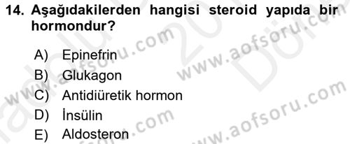 İnsan Beden Yapısı Ve Fizyolojisi Dersi 2018 - 2019 Yılı (Final) Dönem Sonu Sınav Soruları 14. Soru