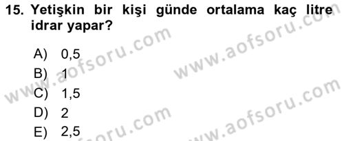 İnsan Beden Yapısı Ve Fizyolojisi Dersi 2018 - 2019 Yılı (Final) Dönem Sonu Sınav Soruları 15. Soru