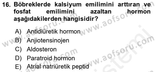 İnsan Beden Yapısı Ve Fizyolojisi Dersi 2018 - 2019 Yılı (Final) Dönem Sonu Sınav Soruları 16. Soru