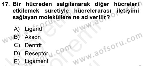 İnsan Beden Yapısı Ve Fizyolojisi Dersi 2018 - 2019 Yılı (Final) Dönem Sonu Sınav Soruları 17. Soru