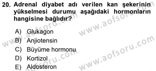 İnsan Beden Yapısı Ve Fizyolojisi Dersi 2018 - 2019 Yılı (Final) Dönem Sonu Sınav Soruları 20. Soru