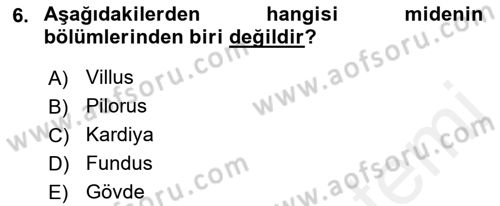 İnsan Beden Yapısı Ve Fizyolojisi Dersi 2018 - 2019 Yılı (Final) Dönem Sonu Sınav Soruları 6. Soru