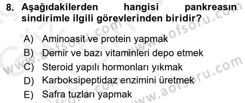 İnsan Beden Yapısı Ve Fizyolojisi Dersi 2018 - 2019 Yılı (Final) Dönem Sonu Sınav Soruları 8. Soru