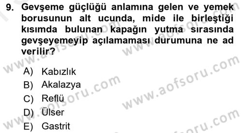 İnsan Beden Yapısı Ve Fizyolojisi Dersi 2018 - 2019 Yılı (Final) Dönem Sonu Sınav Soruları 9. Soru
