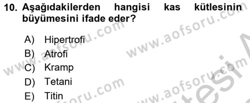 İnsan Beden Yapısı Ve Fizyolojisi Dersi 2018 - 2019 Yılı Yaz Okulu Sınav Soruları 10. Soru