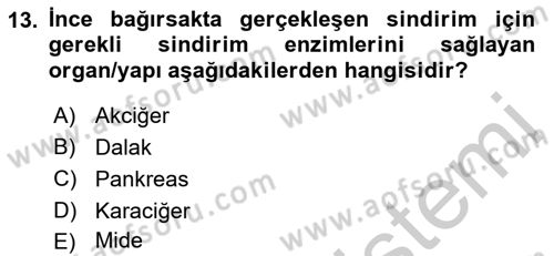 İnsan Beden Yapısı Ve Fizyolojisi Dersi 2018 - 2019 Yılı Yaz Okulu Sınav Soruları 13. Soru