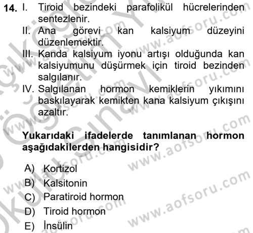 İnsan Beden Yapısı Ve Fizyolojisi Dersi 2018 - 2019 Yılı Yaz Okulu Sınav Soruları 14. Soru