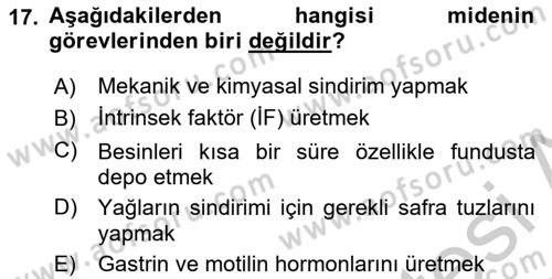 İnsan Beden Yapısı Ve Fizyolojisi Dersi 2018 - 2019 Yılı Yaz Okulu Sınav Soruları 17. Soru