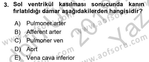 İnsan Beden Yapısı Ve Fizyolojisi Dersi 2018 - 2019 Yılı Yaz Okulu Sınav Soruları 3. Soru