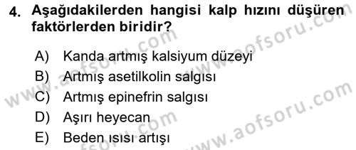 İnsan Beden Yapısı Ve Fizyolojisi Dersi 2018 - 2019 Yılı Yaz Okulu Sınav Soruları 4. Soru