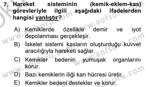 İnsan Beden Yapısı Ve Fizyolojisi Dersi 2018 - 2019 Yılı Yaz Okulu Sınav Soruları 7. Soru
