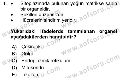 İnsan Beden Yapısı Ve Fizyolojisi Dersi 2019 - 2020 Yılı (Vize) Ara Sınav Soruları 1. Soru