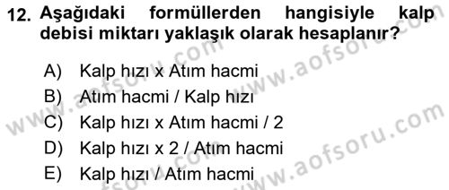 İnsan Beden Yapısı Ve Fizyolojisi Dersi 2019 - 2020 Yılı (Vize) Ara Sınav Soruları 12. Soru