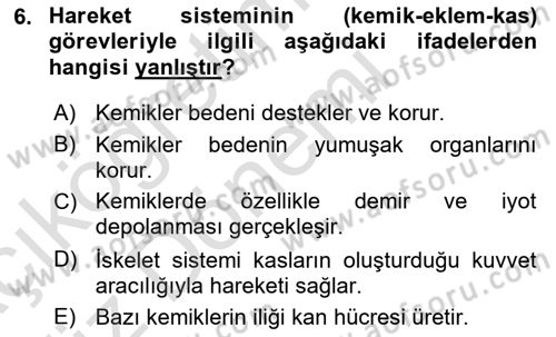 İnsan Beden Yapısı Ve Fizyolojisi Dersi 2019 - 2020 Yılı (Vize) Ara Sınav Soruları 6. Soru