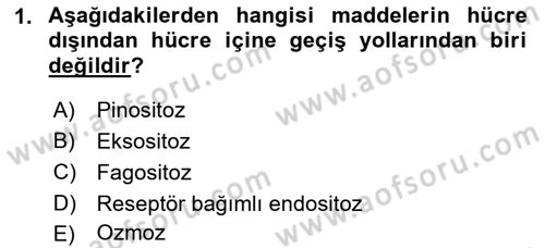 İnsan Beden Yapısı Ve Fizyolojisi Dersi 2019 - 2020 Yılı (Final) Dönem Sonu Sınav Soruları 1. Soru