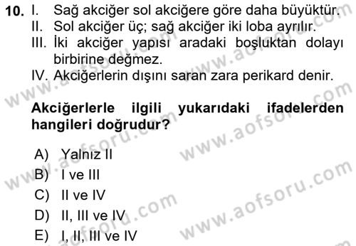 İnsan Beden Yapısı Ve Fizyolojisi Dersi 2019 - 2020 Yılı (Final) Dönem Sonu Sınav Soruları 10. Soru