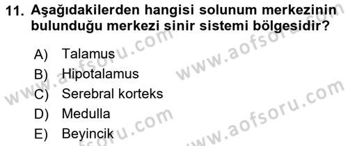 İnsan Beden Yapısı Ve Fizyolojisi Dersi 2019 - 2020 Yılı (Final) Dönem Sonu Sınav Soruları 11. Soru