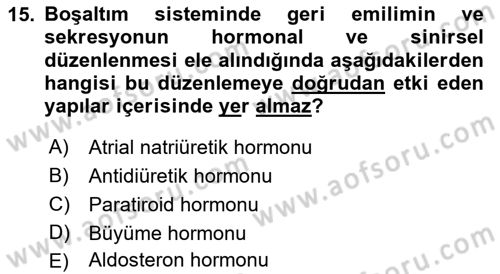 İnsan Beden Yapısı Ve Fizyolojisi Dersi 2019 - 2020 Yılı (Final) Dönem Sonu Sınav Soruları 15. Soru