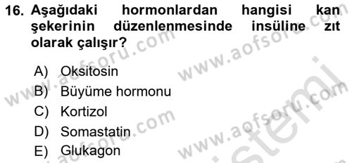 İnsan Beden Yapısı Ve Fizyolojisi Dersi 2019 - 2020 Yılı (Final) Dönem Sonu Sınav Soruları 16. Soru