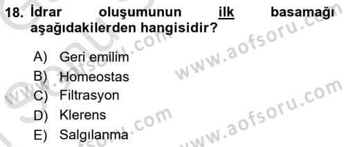 İnsan Beden Yapısı Ve Fizyolojisi Dersi 2019 - 2020 Yılı (Final) Dönem Sonu Sınav Soruları 18. Soru