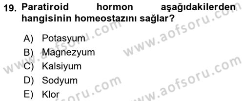 İnsan Beden Yapısı Ve Fizyolojisi Dersi 2019 - 2020 Yılı (Final) Dönem Sonu Sınav Soruları 19. Soru