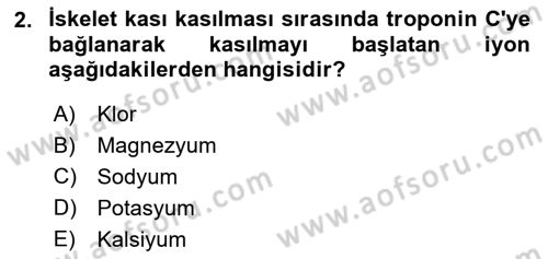 İnsan Beden Yapısı Ve Fizyolojisi Dersi 2019 - 2020 Yılı (Final) Dönem Sonu Sınav Soruları 2. Soru