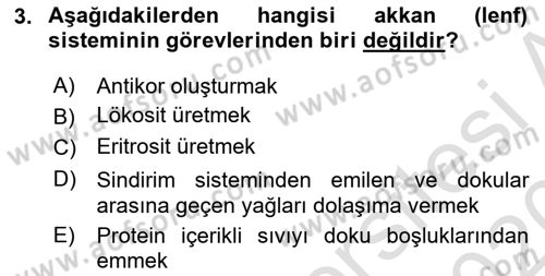 İnsan Beden Yapısı Ve Fizyolojisi Dersi 2019 - 2020 Yılı (Final) Dönem Sonu Sınav Soruları 3. Soru