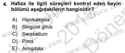İnsan Beden Yapısı Ve Fizyolojisi Dersi 2019 - 2020 Yılı (Final) Dönem Sonu Sınav Soruları 4. Soru