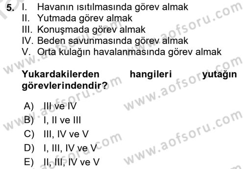 İnsan Beden Yapısı Ve Fizyolojisi Dersi 2019 - 2020 Yılı (Final) Dönem Sonu Sınav Soruları 5. Soru