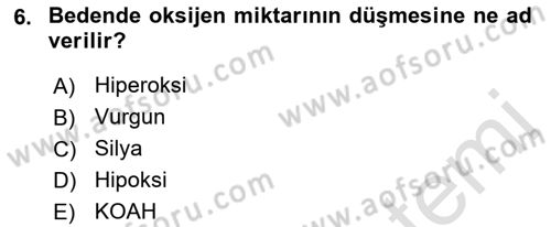 İnsan Beden Yapısı Ve Fizyolojisi Dersi 2019 - 2020 Yılı (Final) Dönem Sonu Sınav Soruları 6. Soru