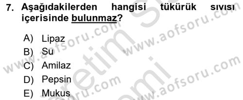 İnsan Beden Yapısı Ve Fizyolojisi Dersi 2019 - 2020 Yılı (Final) Dönem Sonu Sınav Soruları 7. Soru