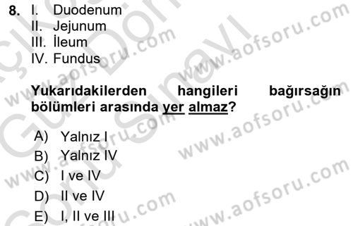 İnsan Beden Yapısı Ve Fizyolojisi Dersi 2019 - 2020 Yılı (Final) Dönem Sonu Sınav Soruları 8. Soru