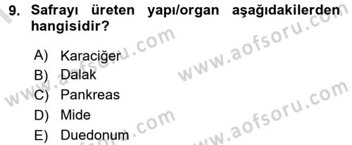 İnsan Beden Yapısı Ve Fizyolojisi Dersi 2019 - 2020 Yılı (Final) Dönem Sonu Sınav Soruları 9. Soru