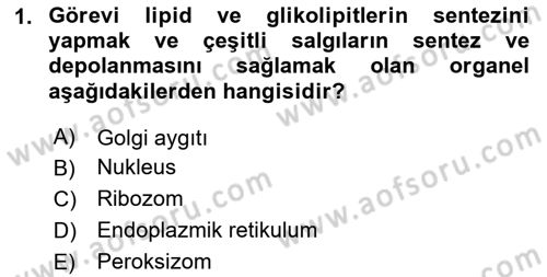 İnsan Beden Yapısı Ve Fizyolojisi Dersi 2020 - 2021 Yılı Yaz Okulu Sınav Soruları 1. Soru