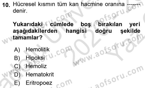 İnsan Beden Yapısı Ve Fizyolojisi Dersi 2020 - 2021 Yılı Yaz Okulu Sınav Soruları 10. Soru