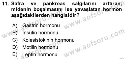 İnsan Beden Yapısı Ve Fizyolojisi Dersi 2020 - 2021 Yılı Yaz Okulu Sınav Soruları 11. Soru