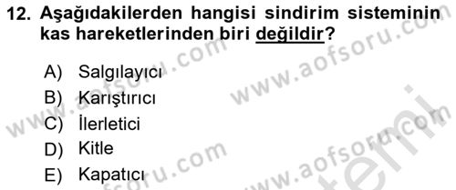 İnsan Beden Yapısı Ve Fizyolojisi Dersi 2020 - 2021 Yılı Yaz Okulu Sınav Soruları 12. Soru