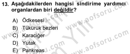 İnsan Beden Yapısı Ve Fizyolojisi Dersi 2020 - 2021 Yılı Yaz Okulu Sınav Soruları 13. Soru