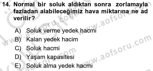 İnsan Beden Yapısı Ve Fizyolojisi Dersi 2020 - 2021 Yılı Yaz Okulu Sınav Soruları 14. Soru