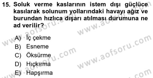İnsan Beden Yapısı Ve Fizyolojisi Dersi 2020 - 2021 Yılı Yaz Okulu Sınav Soruları 15. Soru