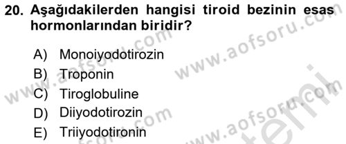 İnsan Beden Yapısı Ve Fizyolojisi Dersi 2020 - 2021 Yılı Yaz Okulu Sınav Soruları 20. Soru