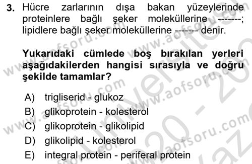 İnsan Beden Yapısı Ve Fizyolojisi Dersi 2020 - 2021 Yılı Yaz Okulu Sınav Soruları 3. Soru