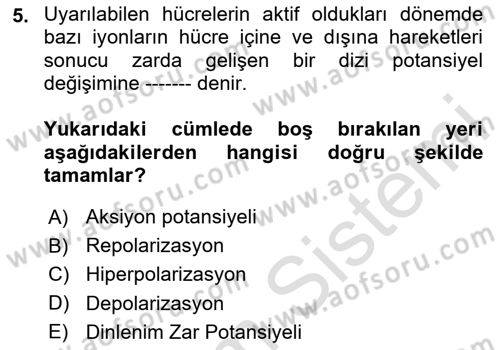 İnsan Beden Yapısı Ve Fizyolojisi Dersi 2020 - 2021 Yılı Yaz Okulu Sınav Soruları 5. Soru