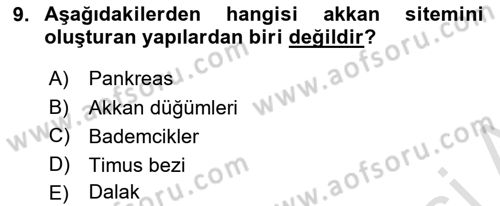 İnsan Beden Yapısı Ve Fizyolojisi Dersi 2020 - 2021 Yılı Yaz Okulu Sınav Soruları 9. Soru