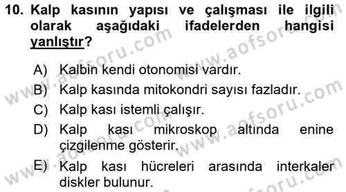 İnsan Beden Yapısı Ve Fizyolojisi Dersi 2021 - 2022 Yılı (Vize) Ara Sınav Soruları 10. Soru